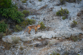 MISE A  JOUR  en cours