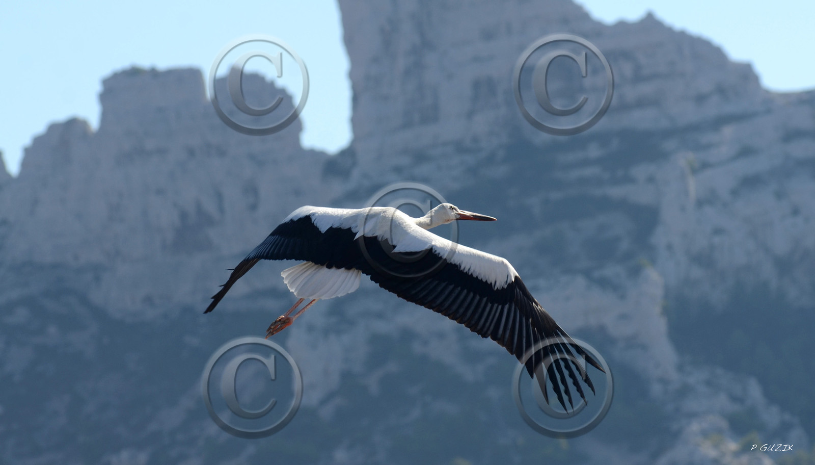 MISE A  JOUR  en cours