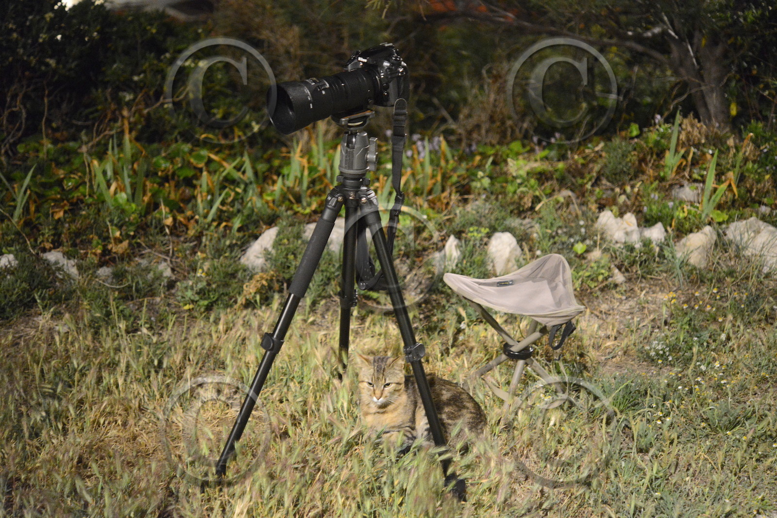 mon assistant qui n'a peur de rien