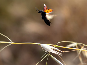 MISE A  JOUR  en cours