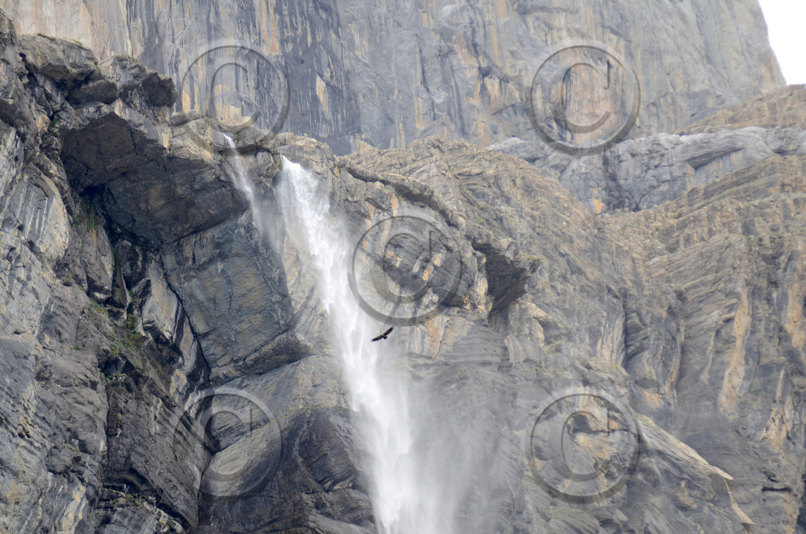 MISE A  JOUR  en cours