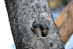 MISE A  JOUR  en cours