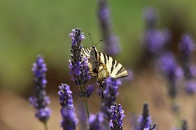 MISE A  JOUR  en cours