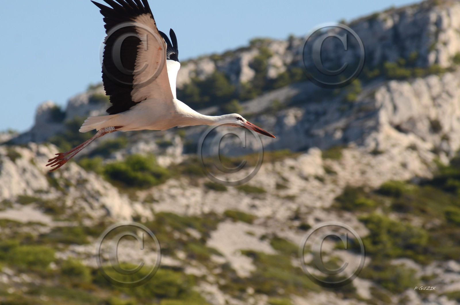 MISE A  JOUR  en cours