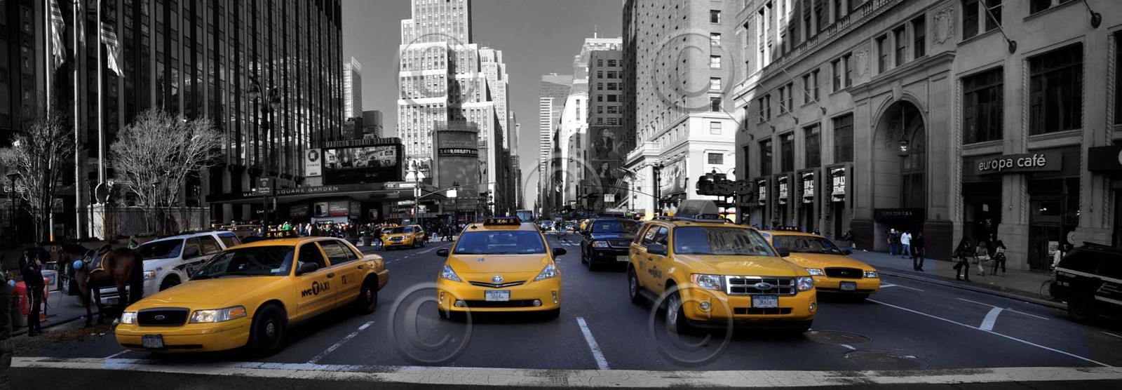 TAXI NEW YORK CITY MANHATTAN  BLACK AND COLORS 7EME  AVENUE Madison Square GardenNew york photo panoramique noir et blanc FORMAT DISPONIBLE    33X95cm ( et 20X60cm en vente direct uniquement )pas de telechargement disponible.A chaque format correspond une éditions limitée spécifique .© collection P GUZIKA titre indicatif suivant la finition, tarif encadré vente direct:150 x 52 cm 180€   non disponible33   x 95 cm   99€20   x 60 cm   39€disponible en  30 X10 cm  sur stand en vente directDISPONIBLE SUIVANT STOCK -  CRÉATION JOURNALIERE  -