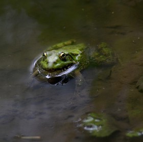 Photo de la sainte baume