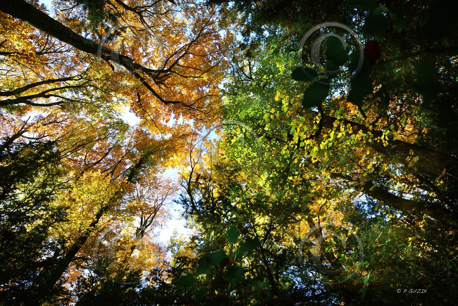 Photo de la sainte baume