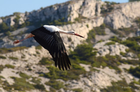 MISE A  JOUR  en cours