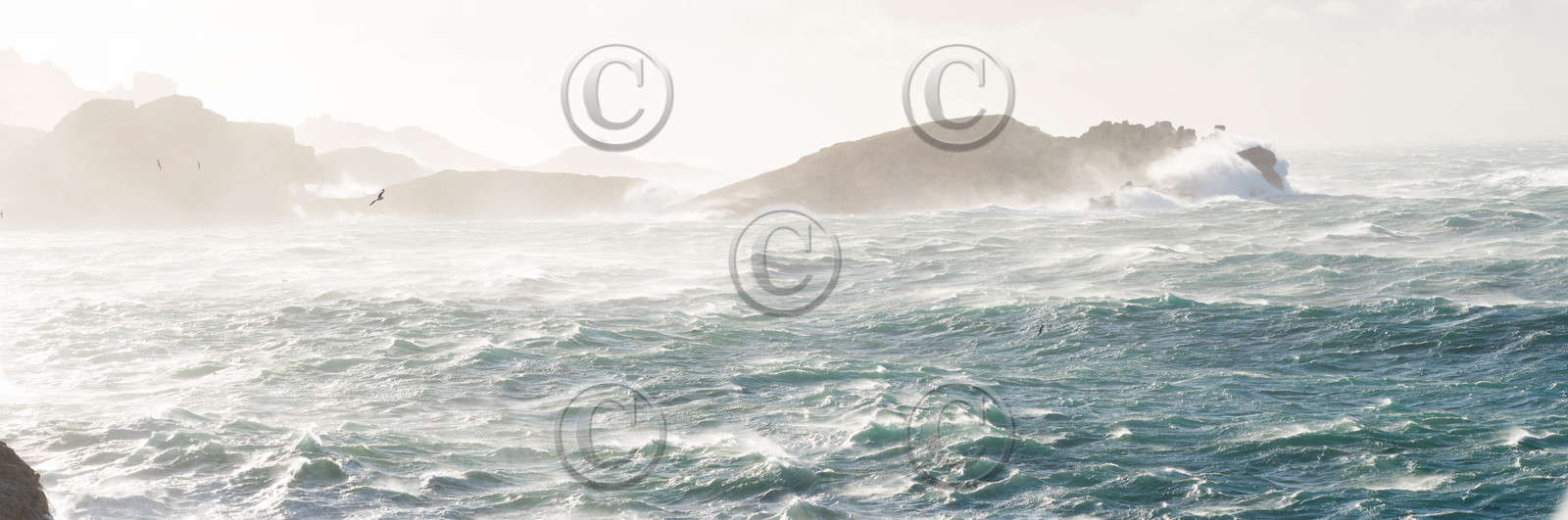 marche de noel de marseille 2019   2020