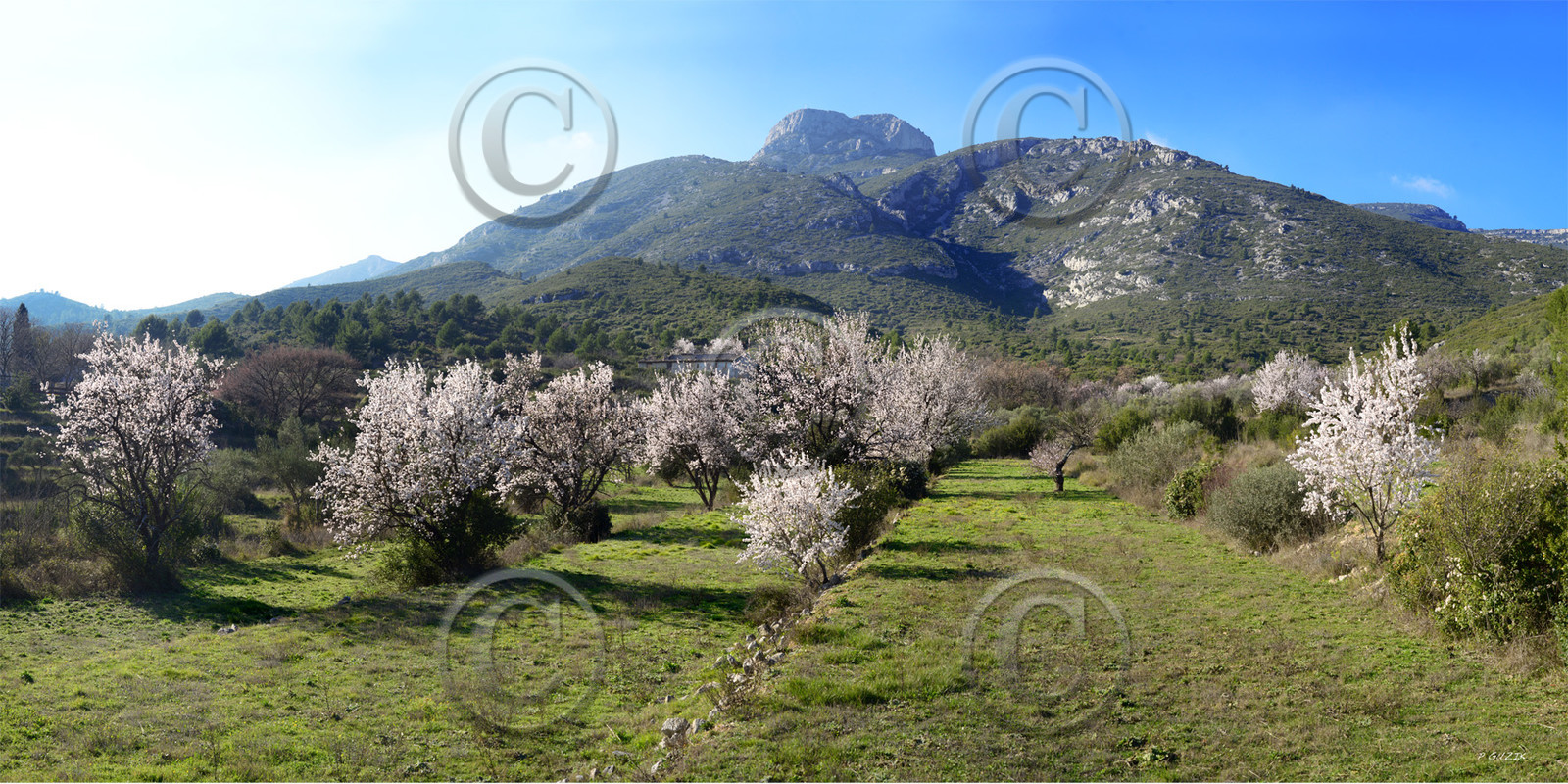 le garlaban Aubagne provence