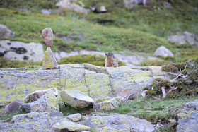 MISE A  JOUR  en cours