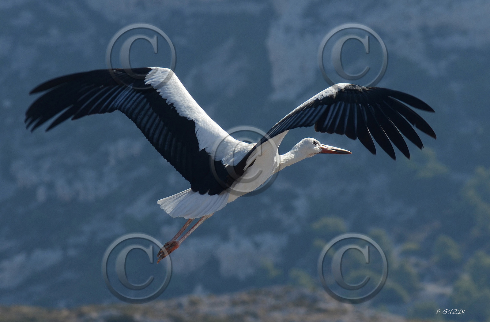 MISE A  JOUR  en cours