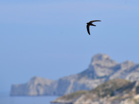 MISE A  JOUR  en cours