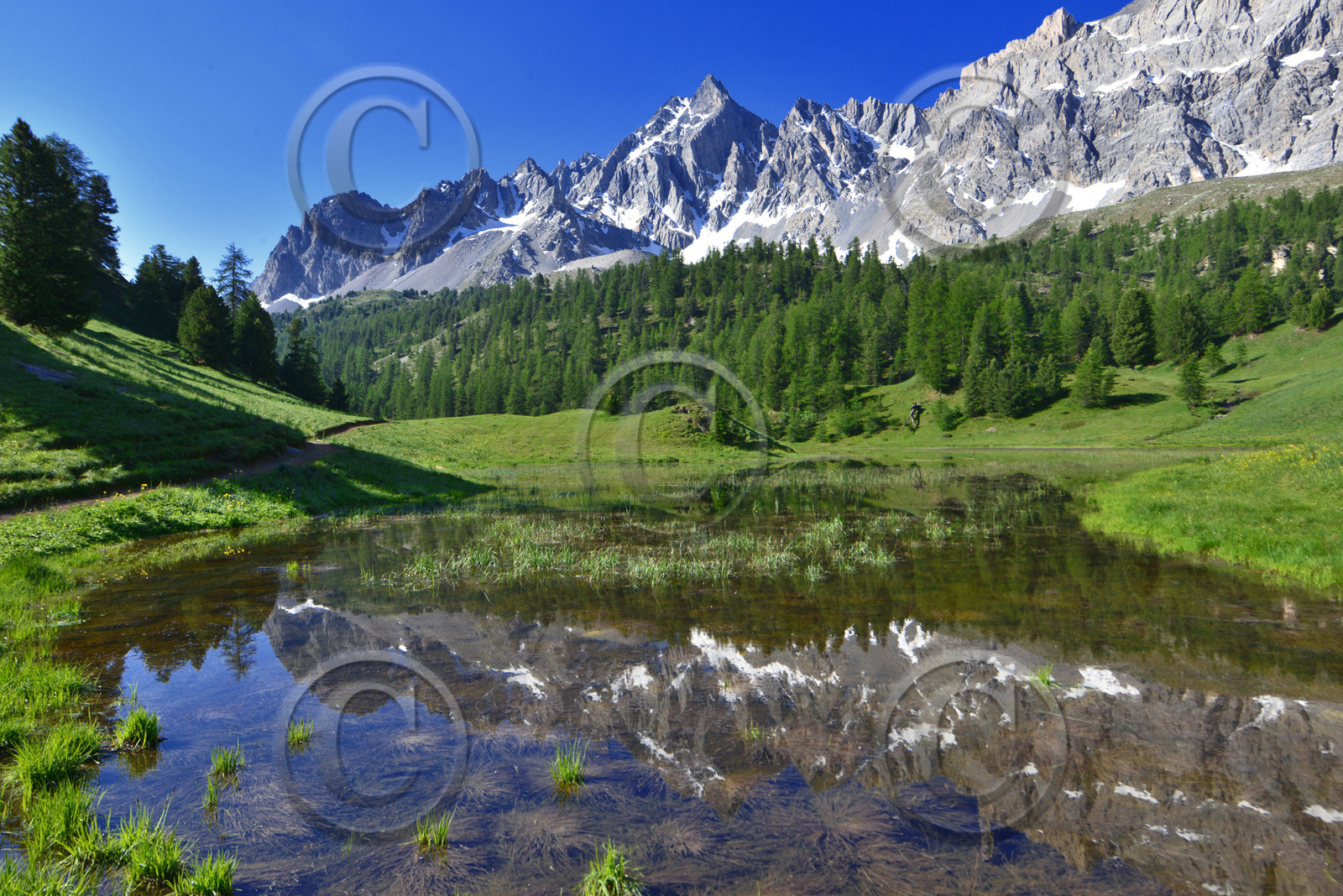 montagne haute alpes ,queyras, mercantour,alpes de haute provence,alpes maritime