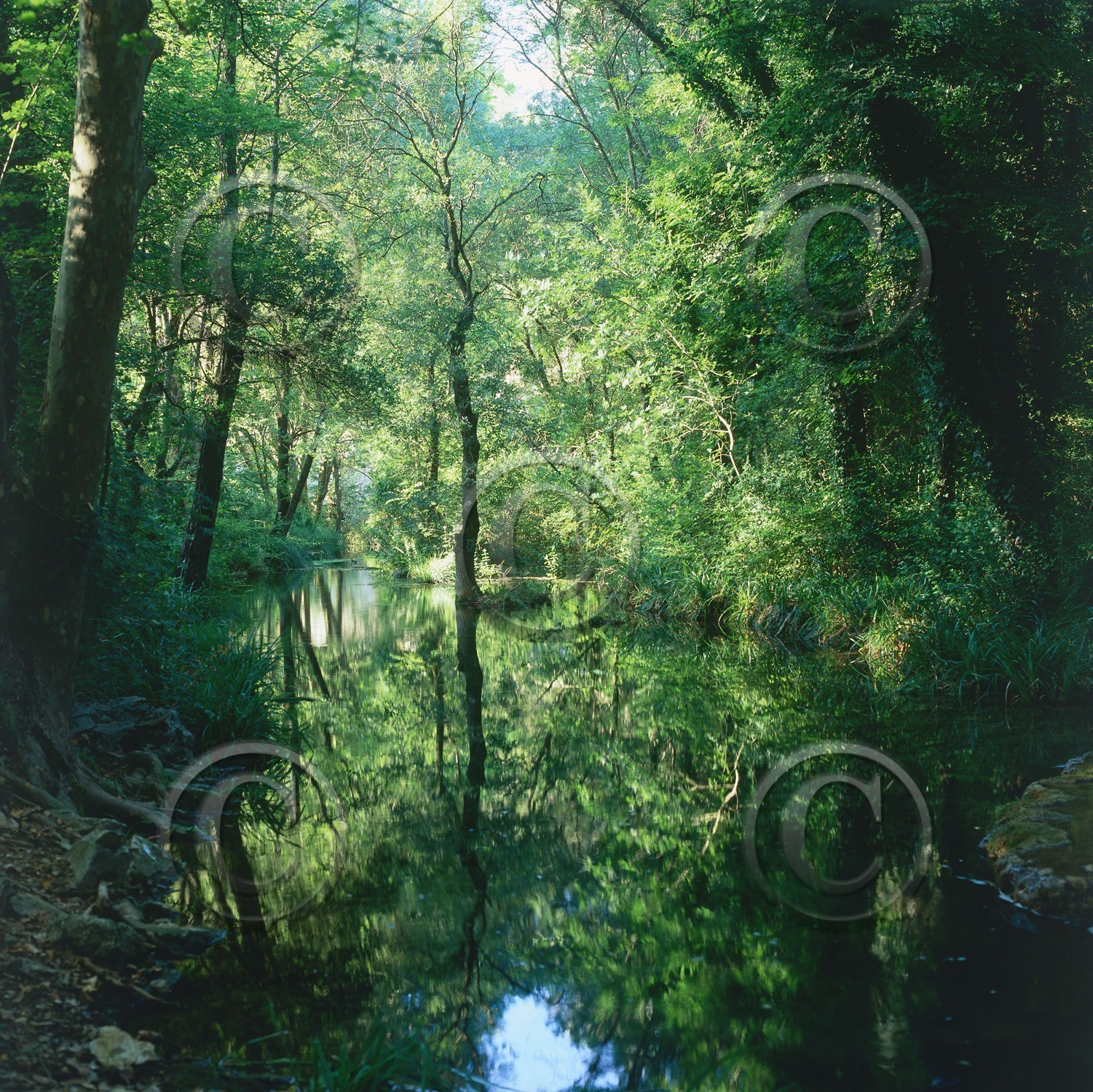 Photo de la sainte baume