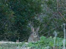 MISE A  JOUR  en cours
