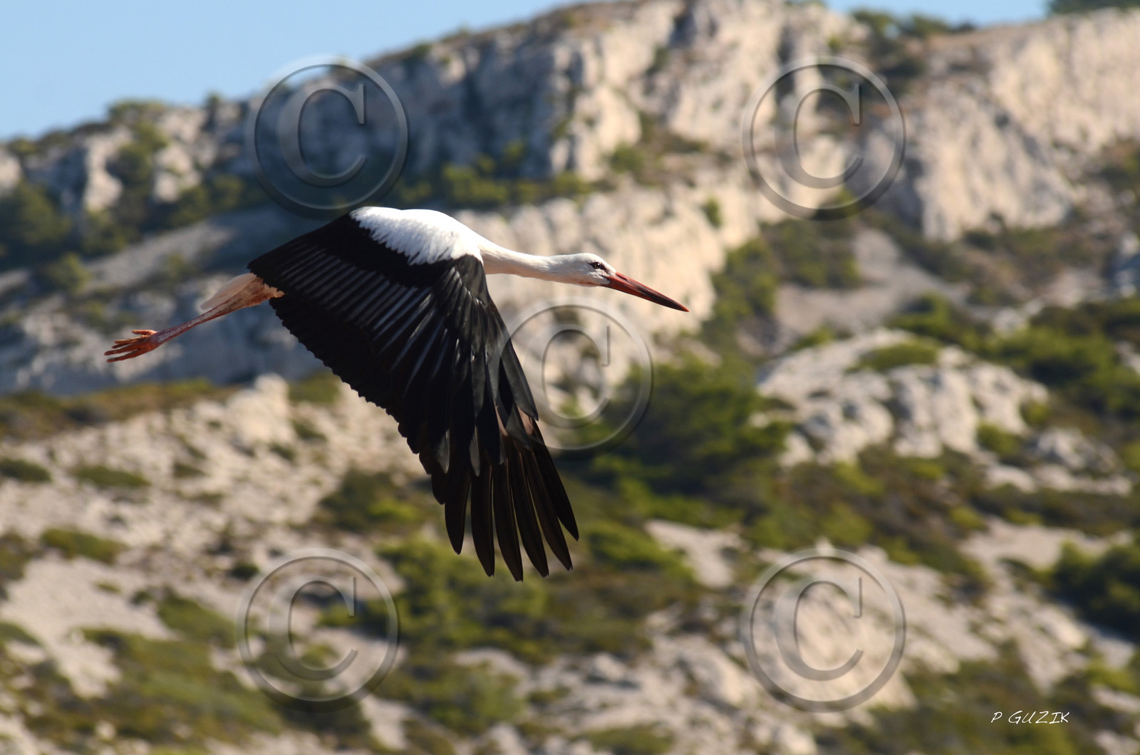 MISE A  JOUR  en cours