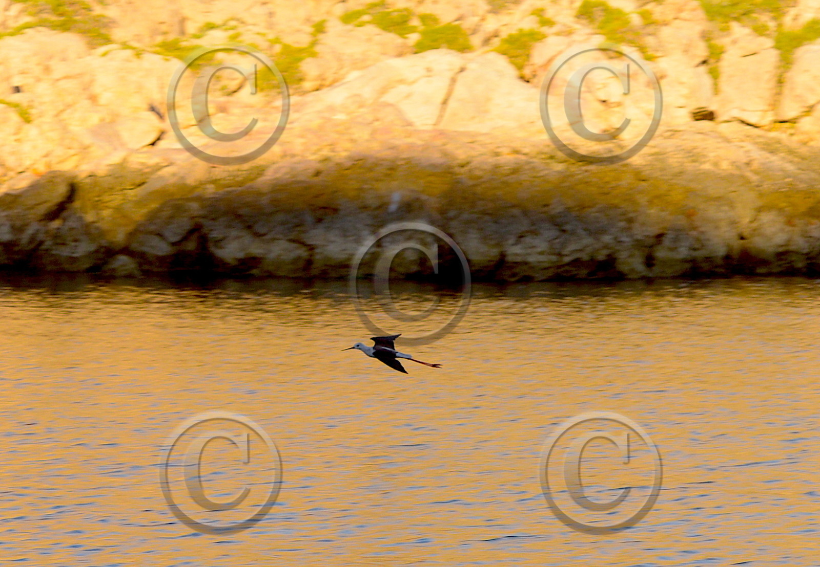 quelques part dans les calanques