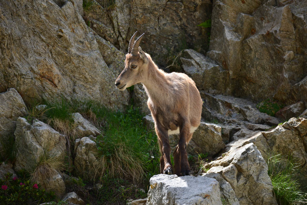 MISE A  JOUR  en cours
