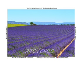 REF M122 PROVENCE lavande-valensole. 8054.jpg