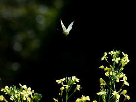 MISE A  JOUR  en cours