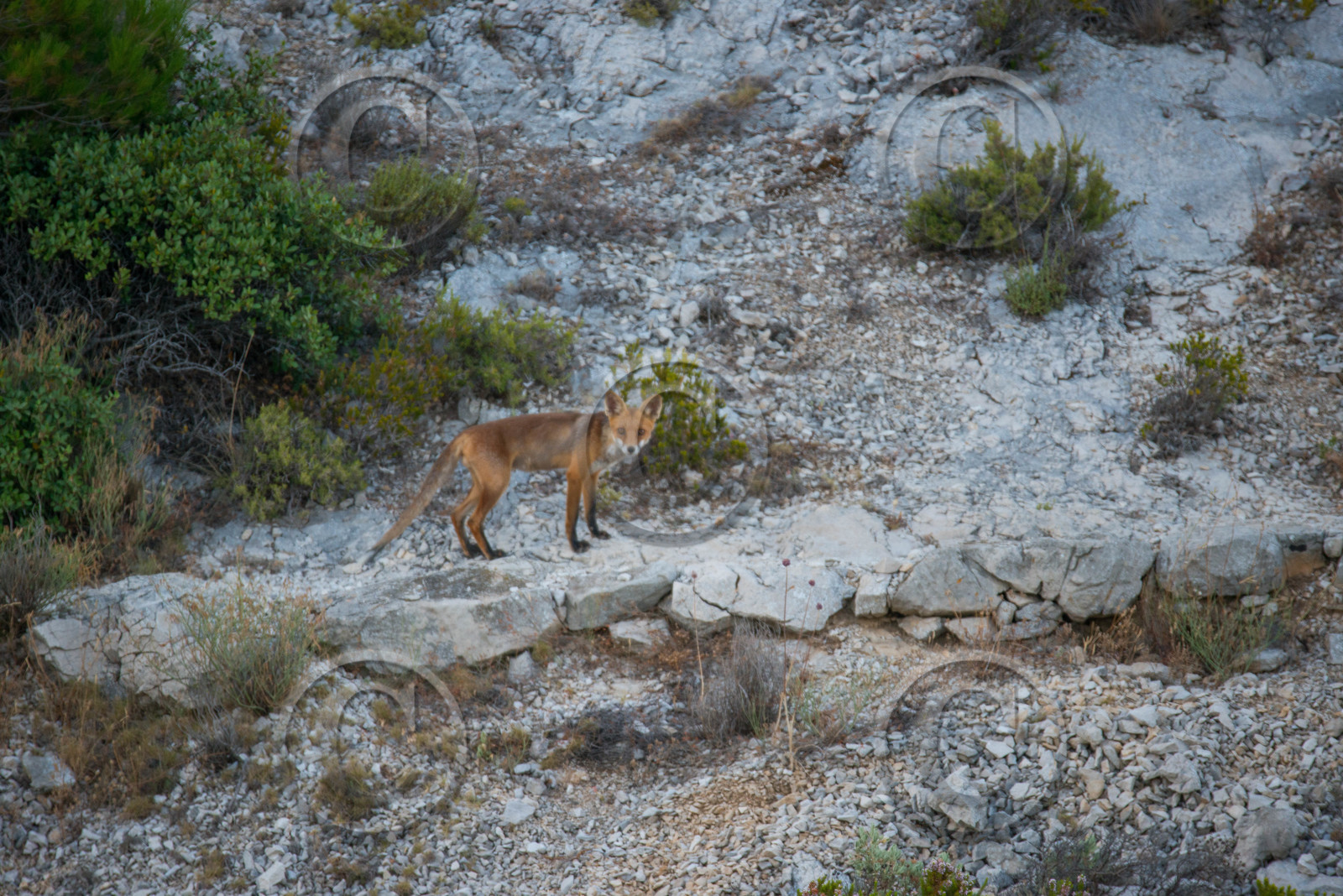 MISE A  JOUR  en cours