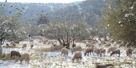 Photo de la sainte baume
