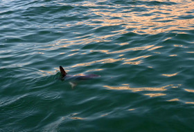 MISE A  JOUR  en cours