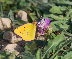 MISE A  JOUR  en cours