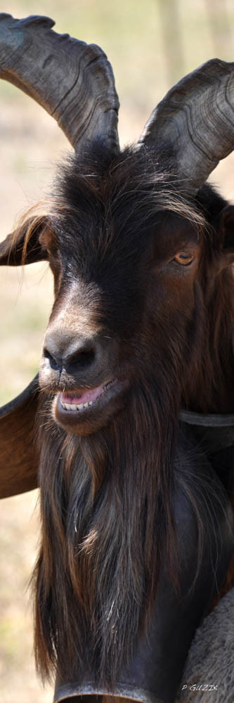 Selection format 20X60 cm