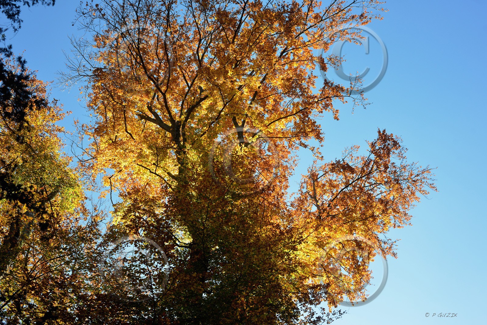 Photo de la sainte baume