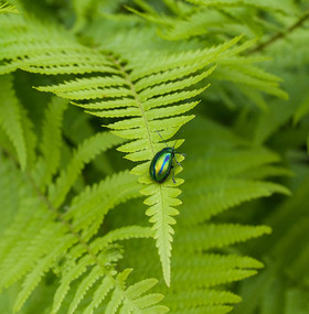 MISE A  JOUR  en cours