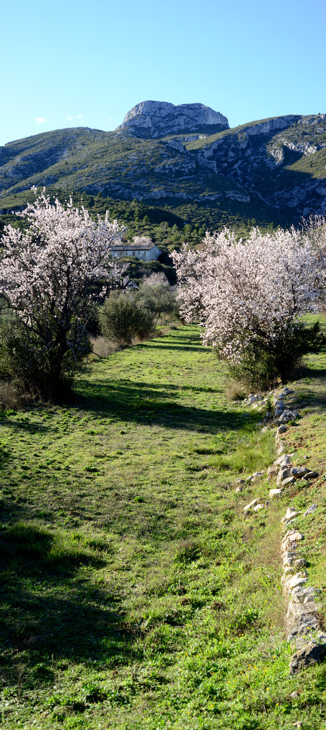 Photo de la sainte baume