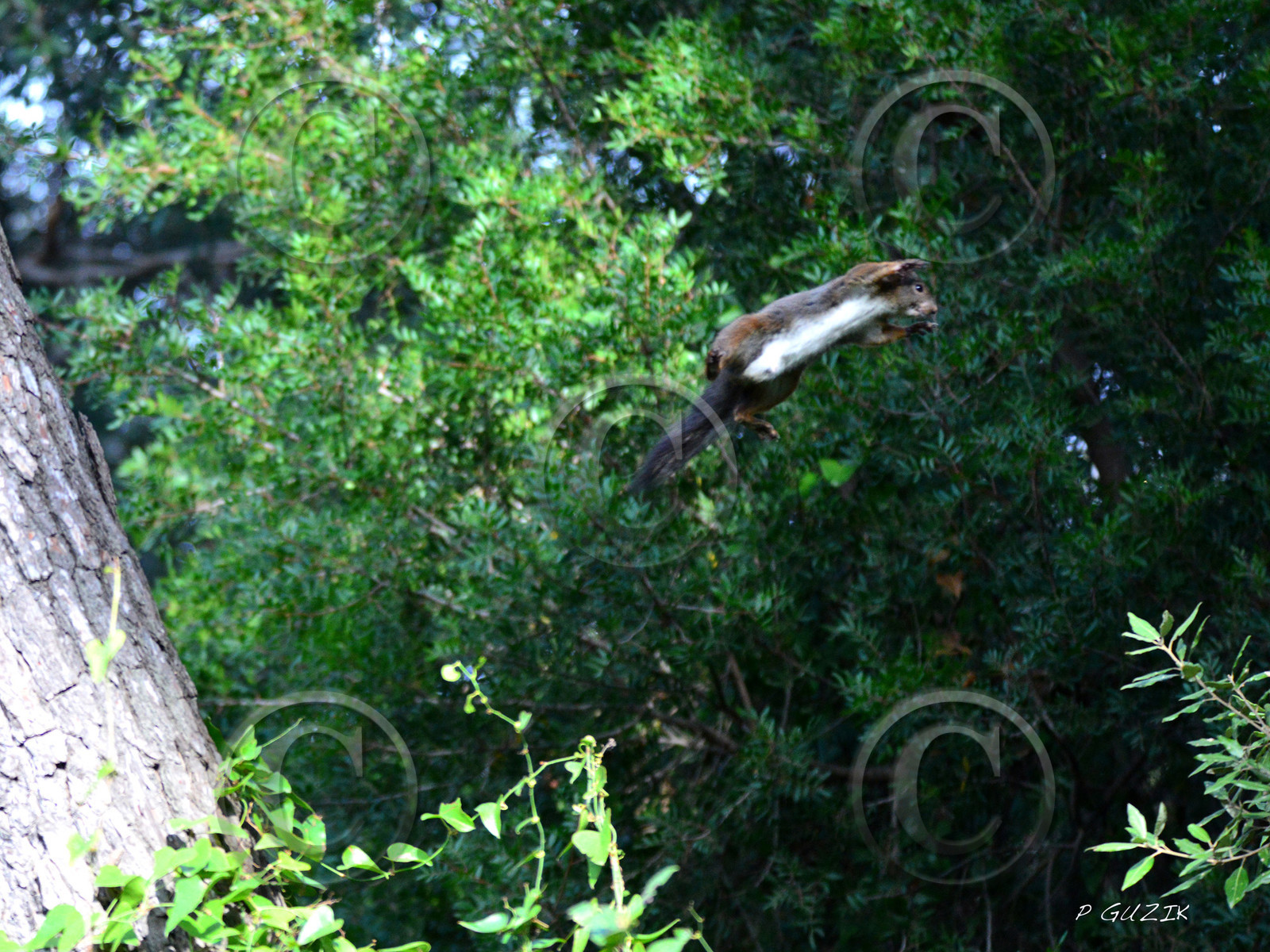 MISE A  JOUR  en cours