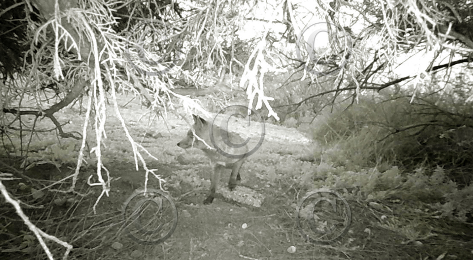 MISE A  JOUR  en cours