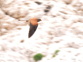 MISE A  JOUR  en cours