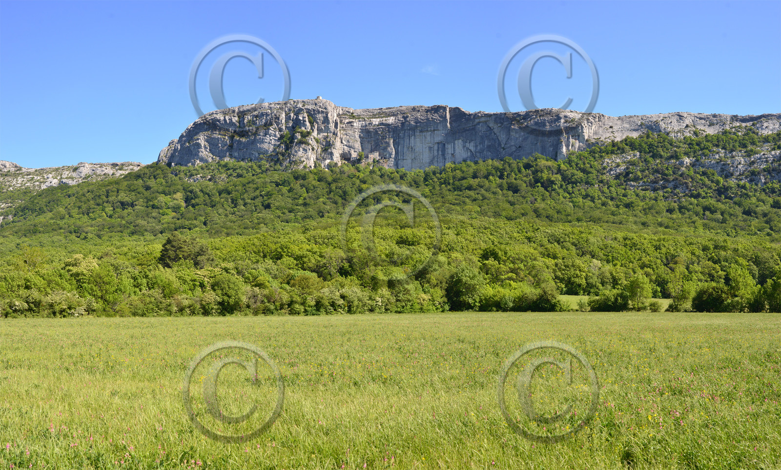 Photo de la sainte baume