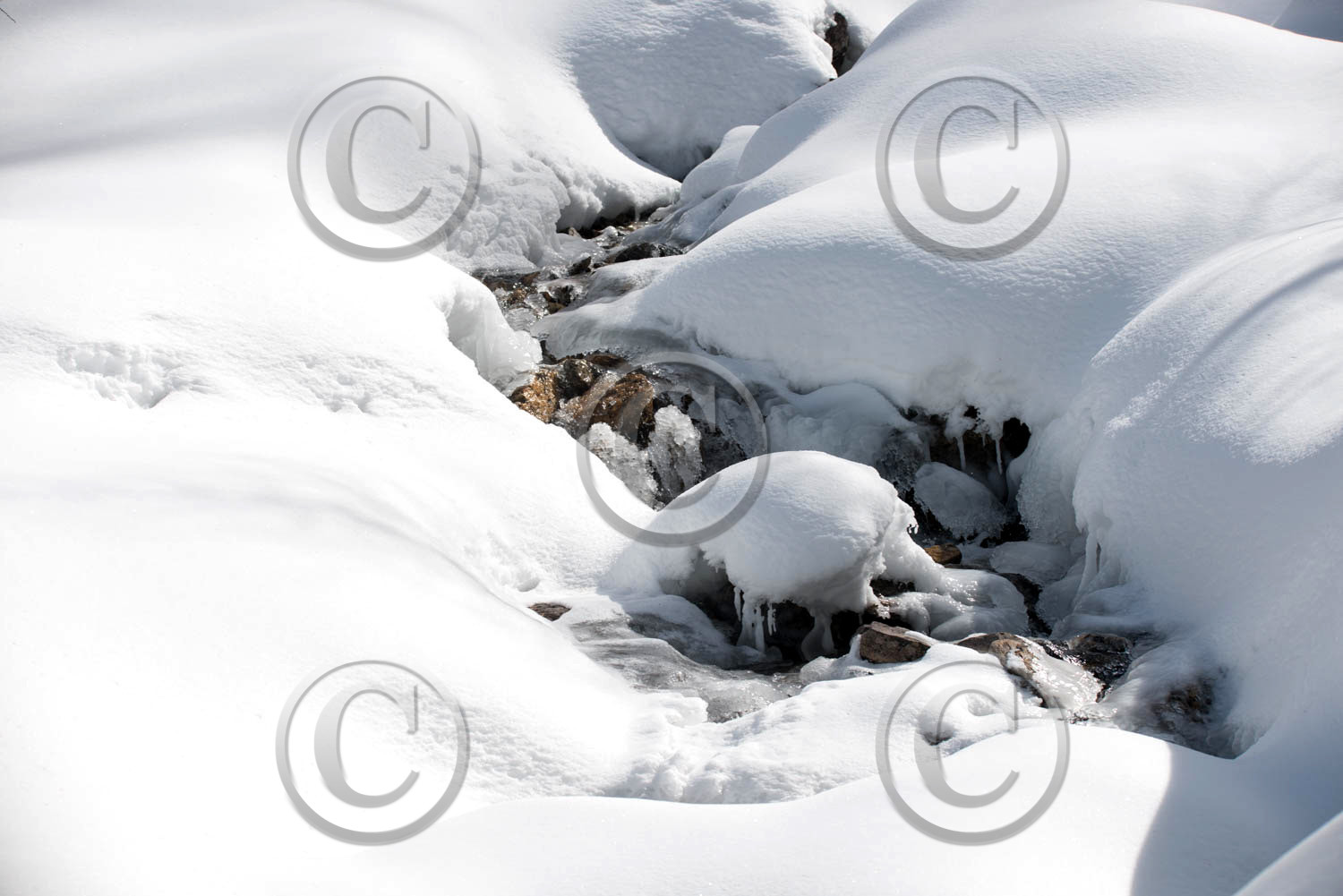 queyras hautes alpes