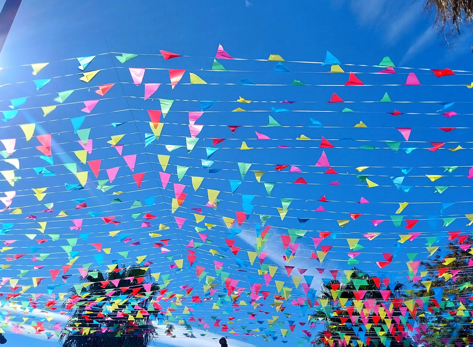 Je suis présent à la foire de Marseillle 2024  horaire 10 h à 19h en semaine              10h à  20h le week end              10h à 23h le vendredi 27 septembre pour la nocturne