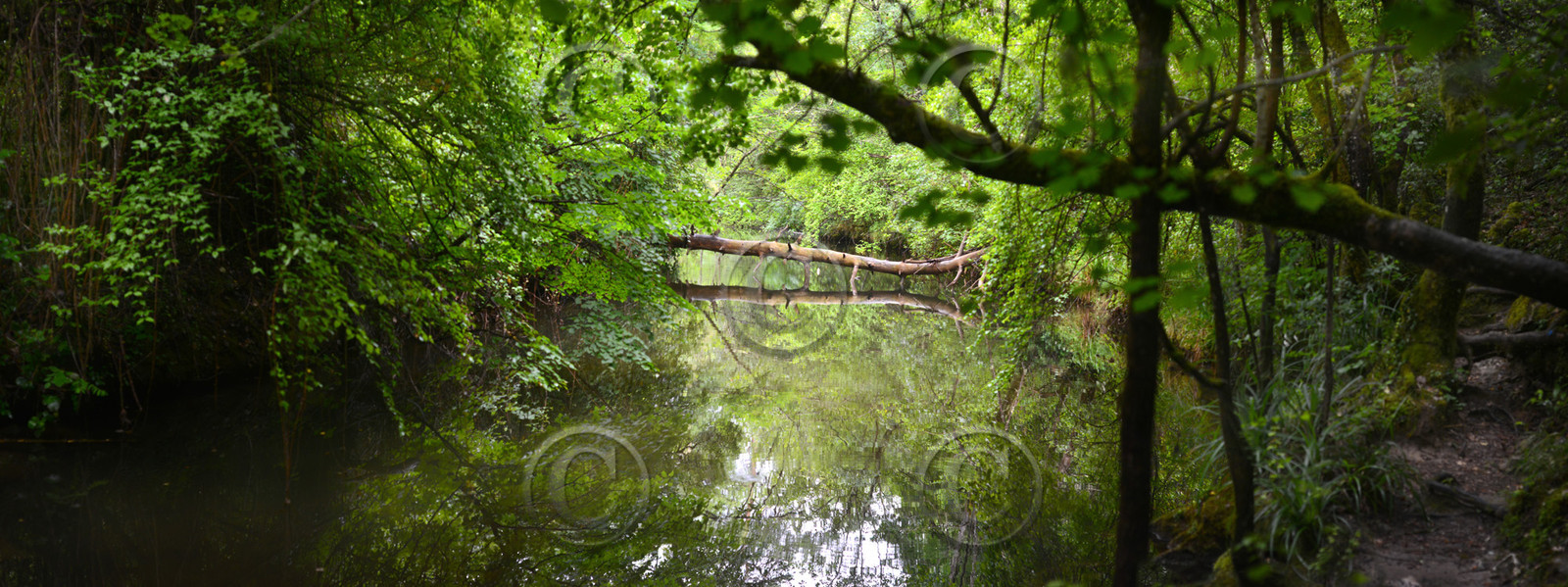 Photo de la sainte baume