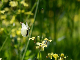 MISE A  JOUR  en cours