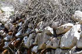 MISE A  JOUR  en cours