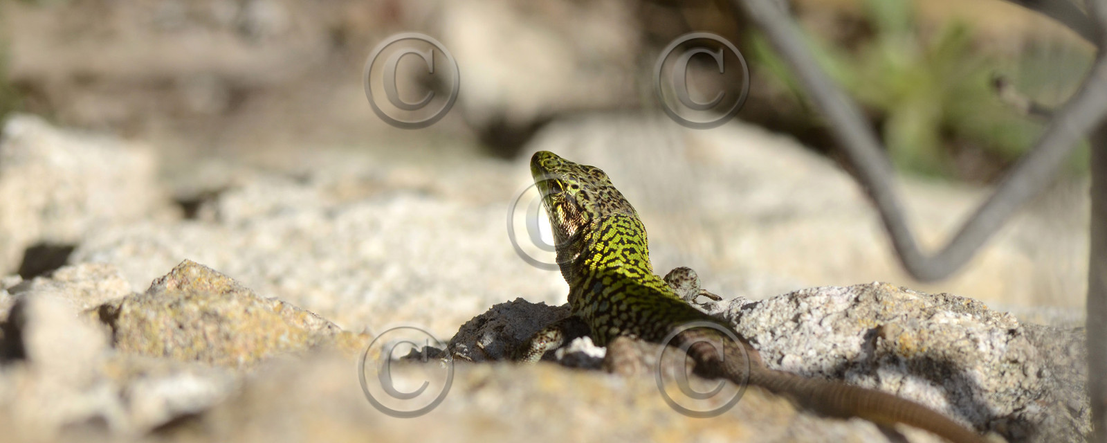 MISE A  JOUR  en cours