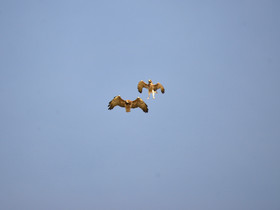 MISE A  JOUR  en cours