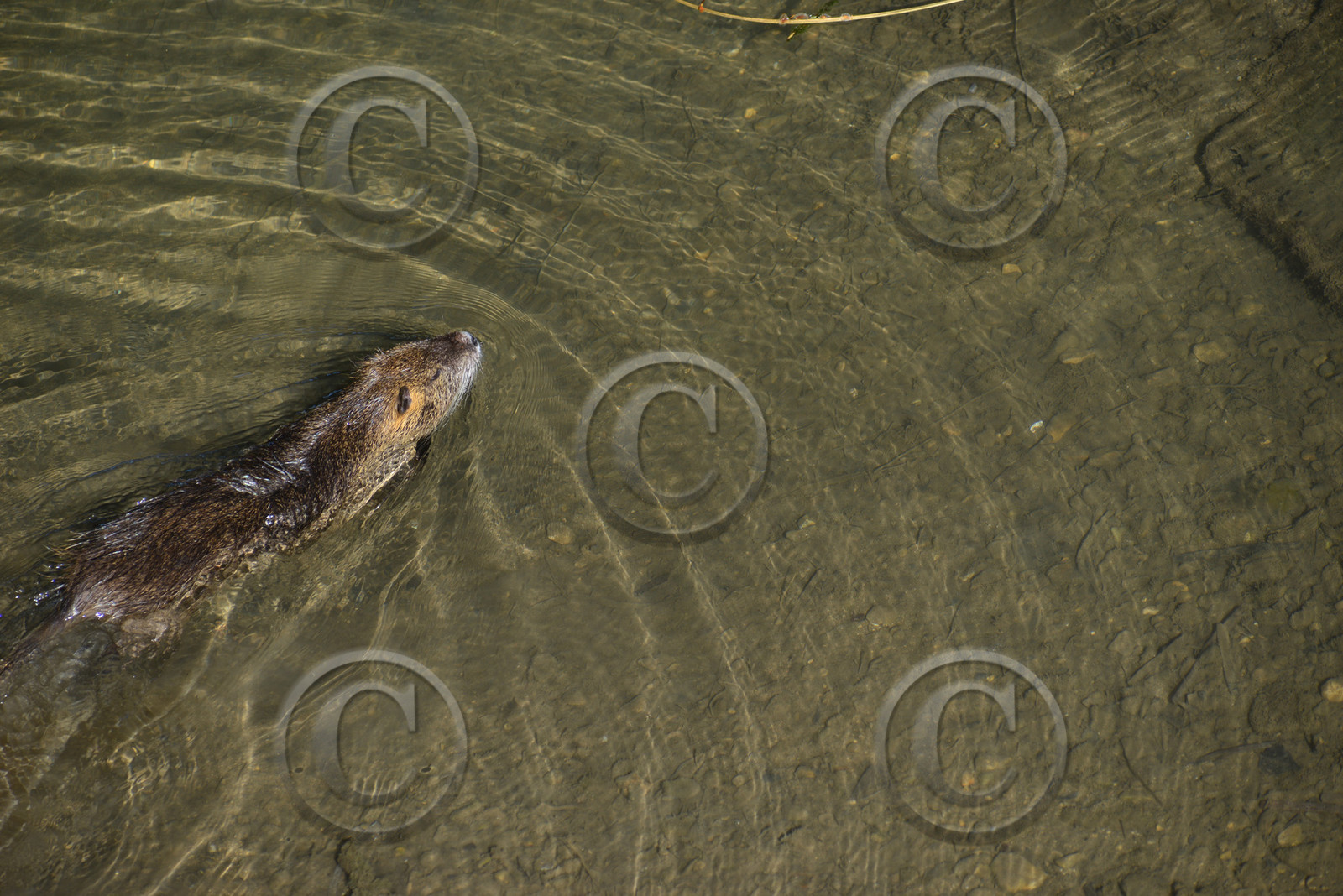 MISE A  JOUR  en cours