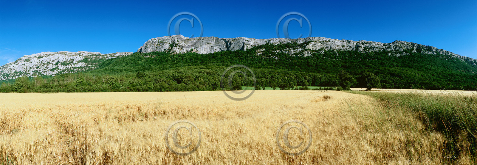 Photo de la sainte baume