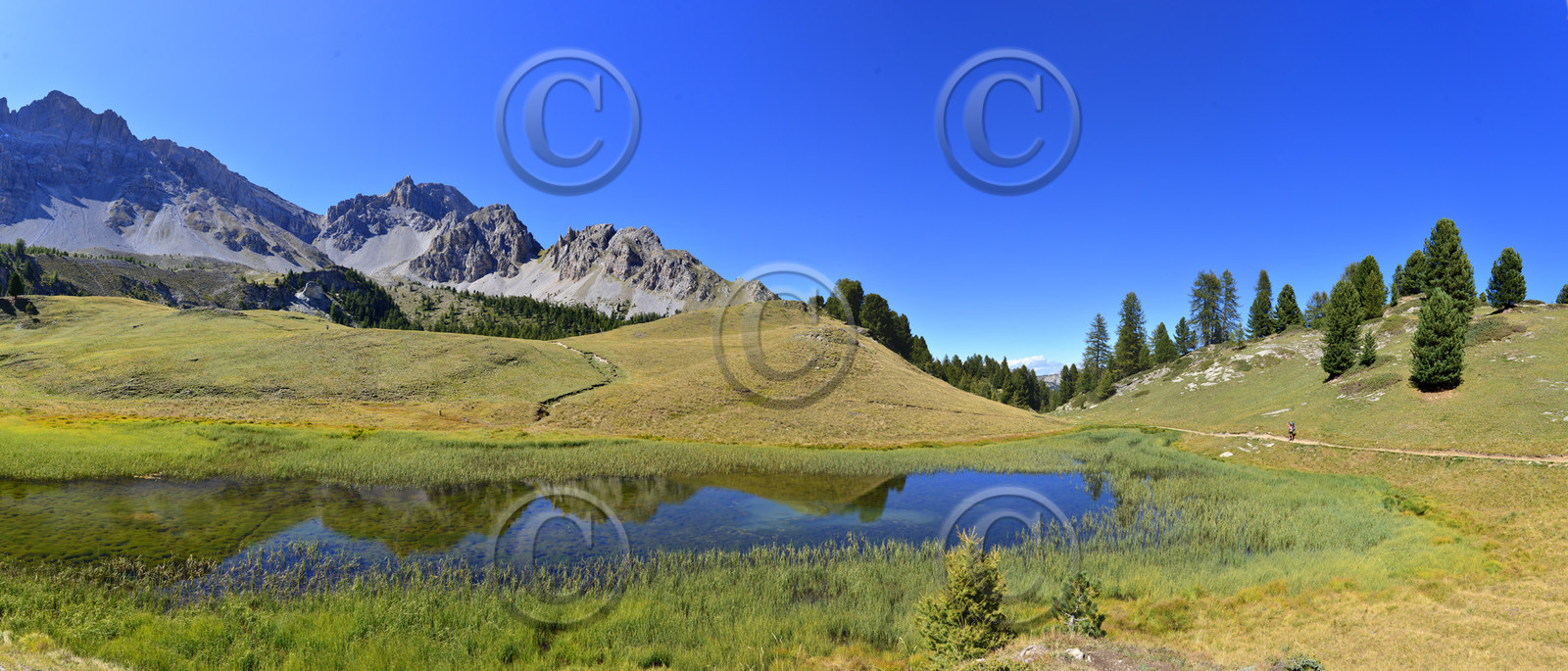 montagne haute alpes ,queyras, mercantour,alpes de haute provence,alpes maritime