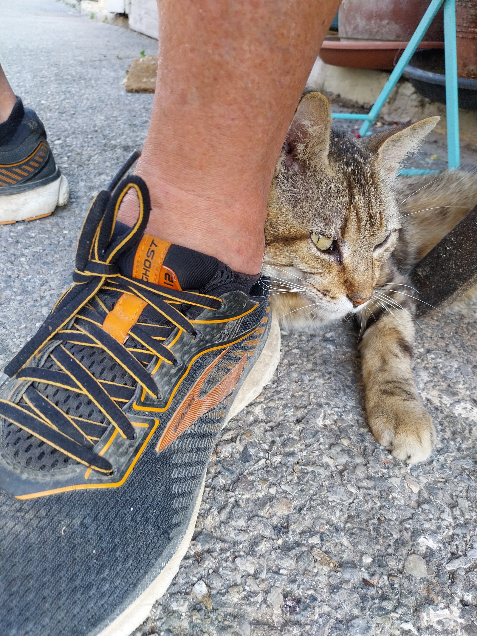 MARCHÉ D'ÉTÉ SUR LA CANEBIÉRE  2024