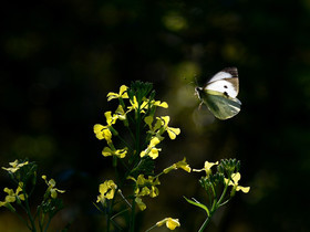 MISE A  JOUR  en cours