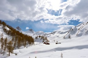 ALPES DE HAUTE PROVENCE